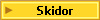 Skidor